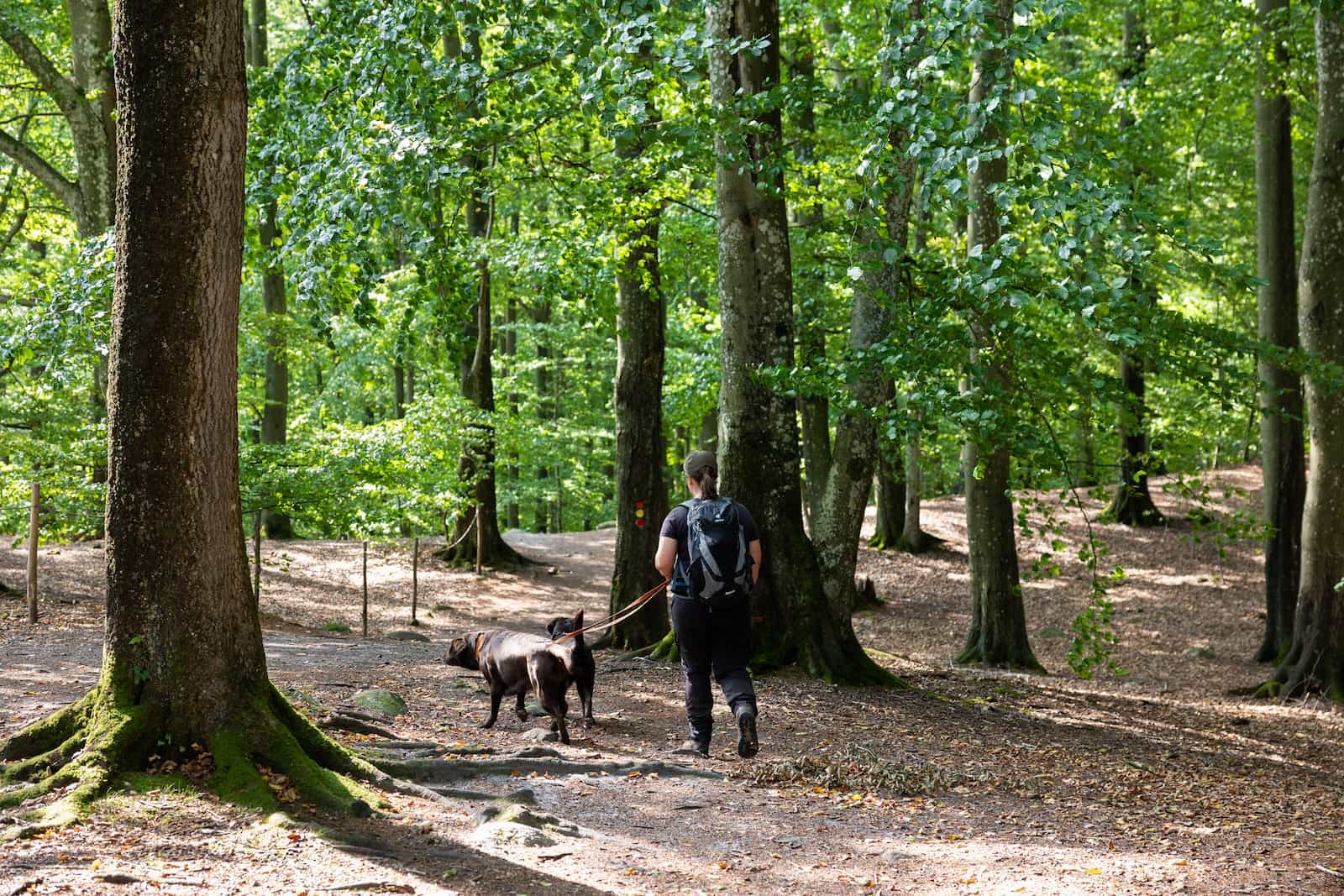 Tivedens nationalpark