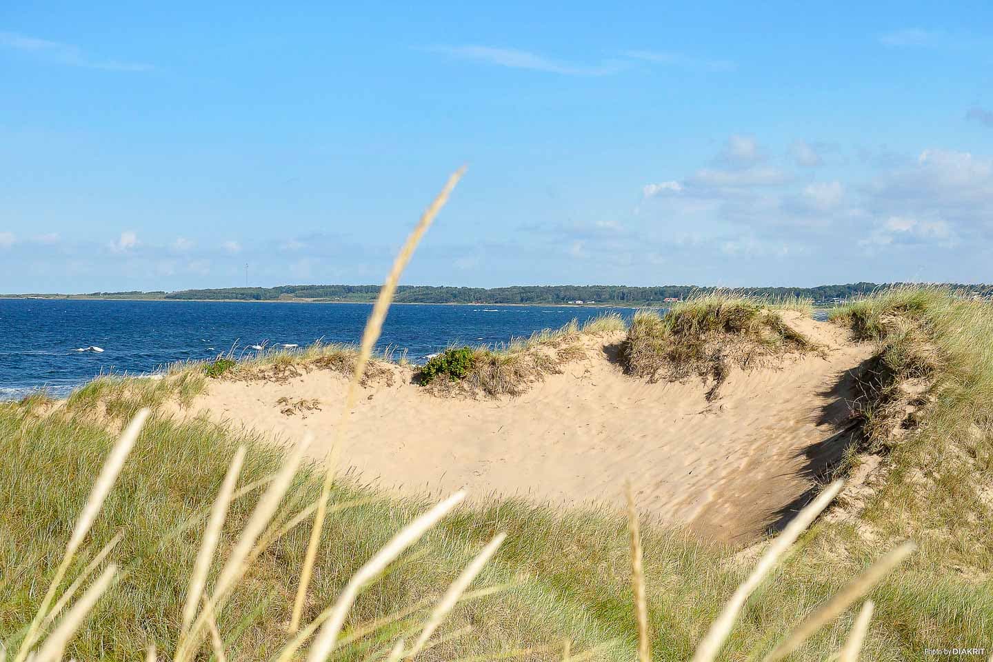 Strandhäng i Tylösand – en solklar favorit bland allt att göra i Halmstad