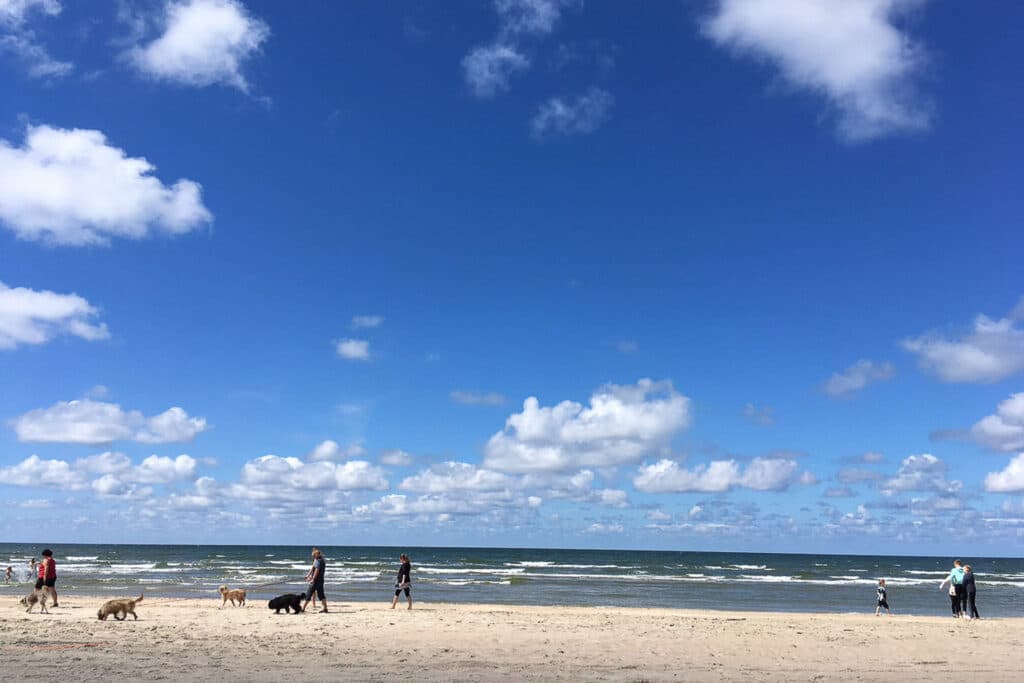 Campe med hund, strandliv