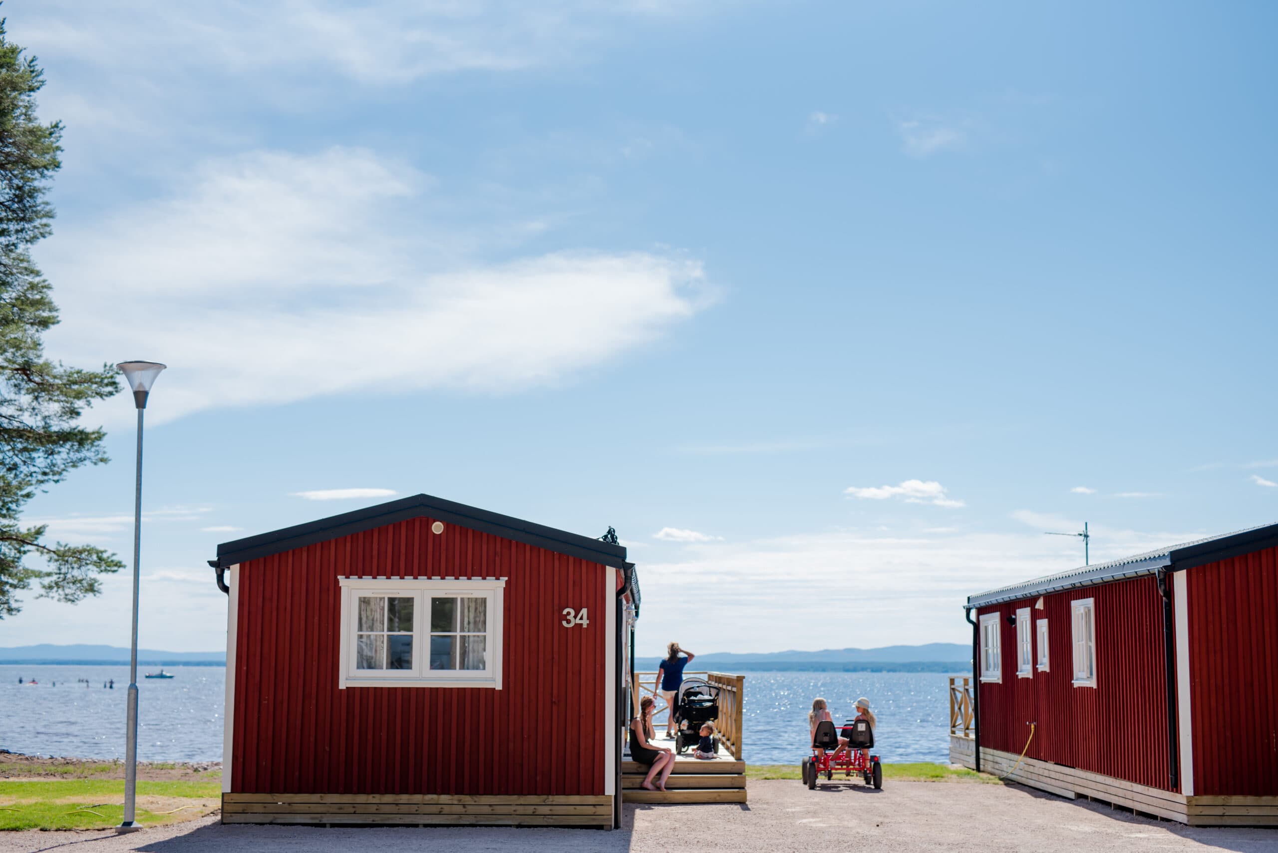 Hund koser seg utenfor en hundevennlig hytte på campingplassen.