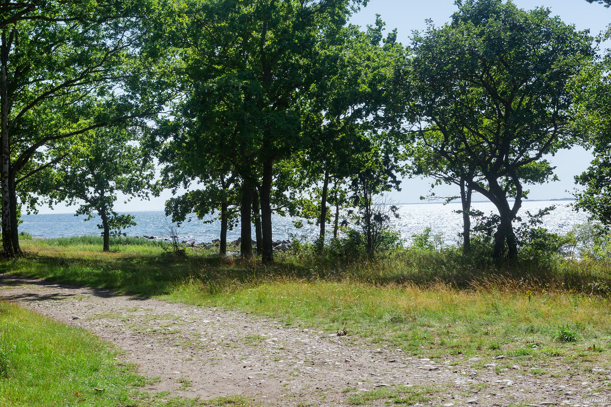 Camping på Öland - First Camp Ekerum - Öland