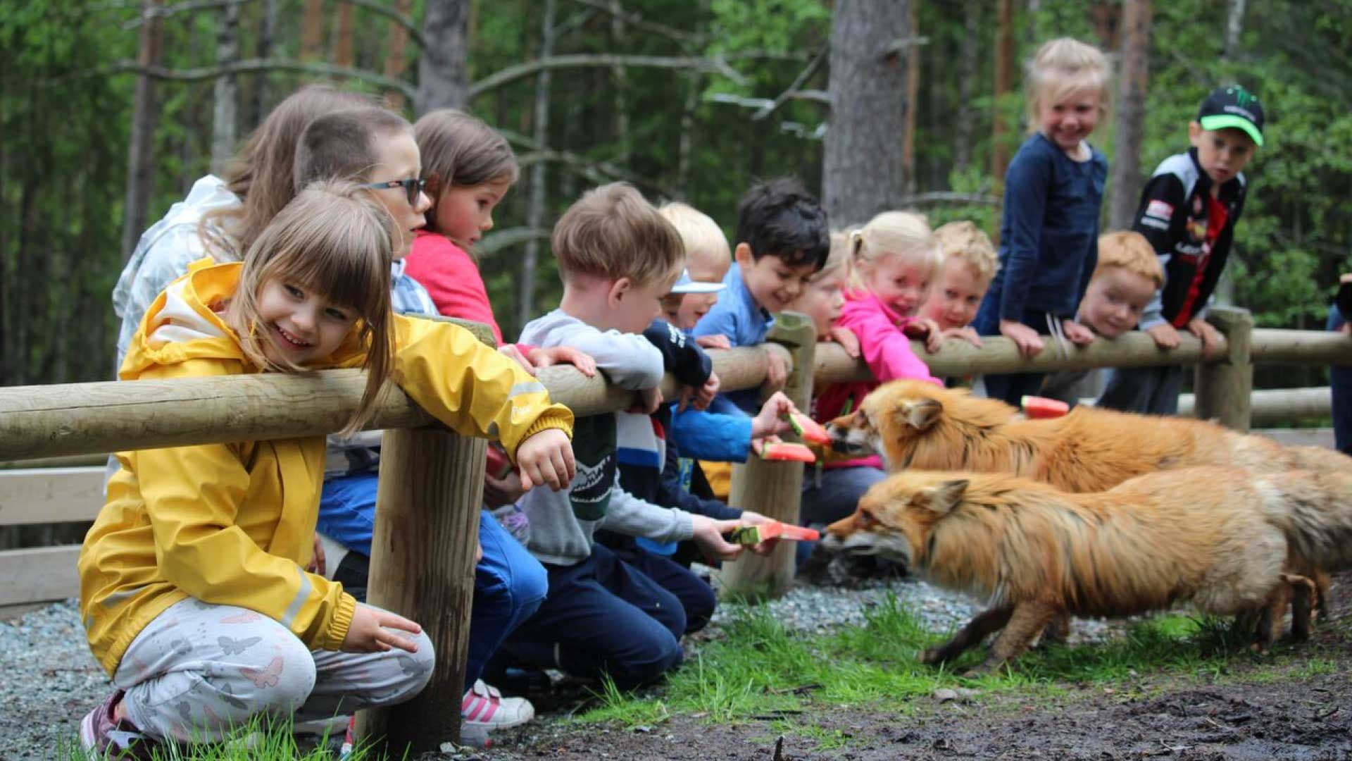 bjorneparken_flaa