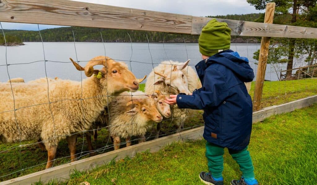 huldal_familiepark