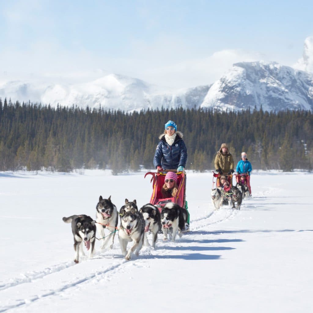 hemsedal_huskies