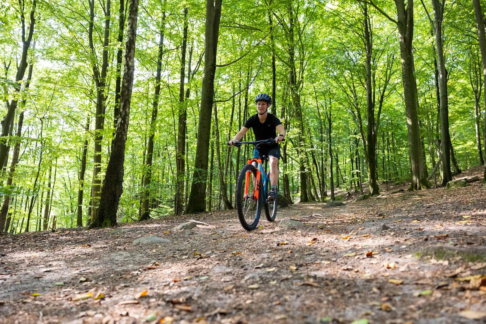 MTB-cykling nær First Camp Röstånga og Söderåsen