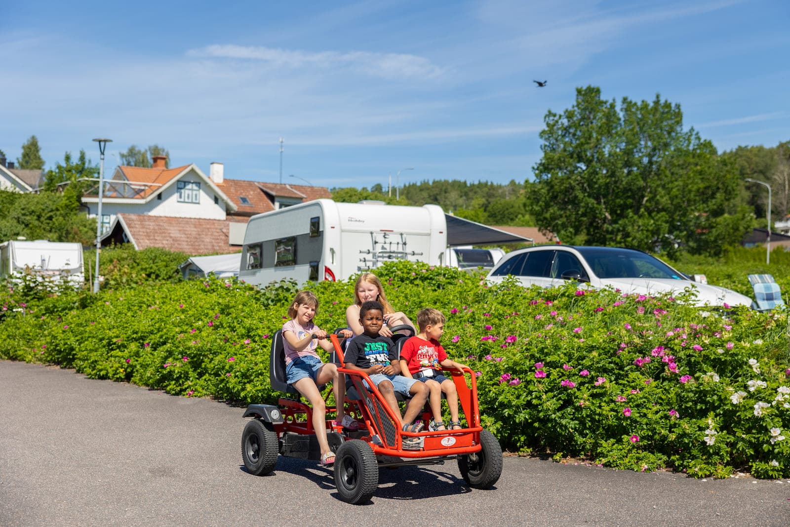 First Camp Kolmården – Norrköping – camping nära djurpark och Bråviken med stugor och naturnära upplevelser.