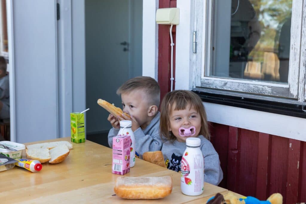 First Camp Kolmården – Norrköping – camping nära djurpark och Bråviken med stugor och naturnära upplevelser.