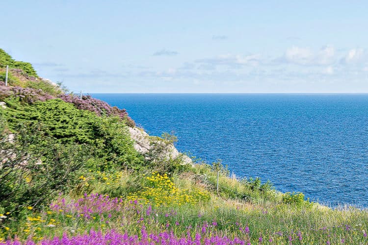 Campingplass ved havet i Mölle, Sverige