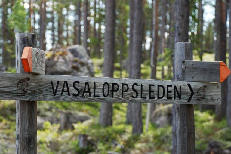 MTB ved Vasaloppsleden i Mora