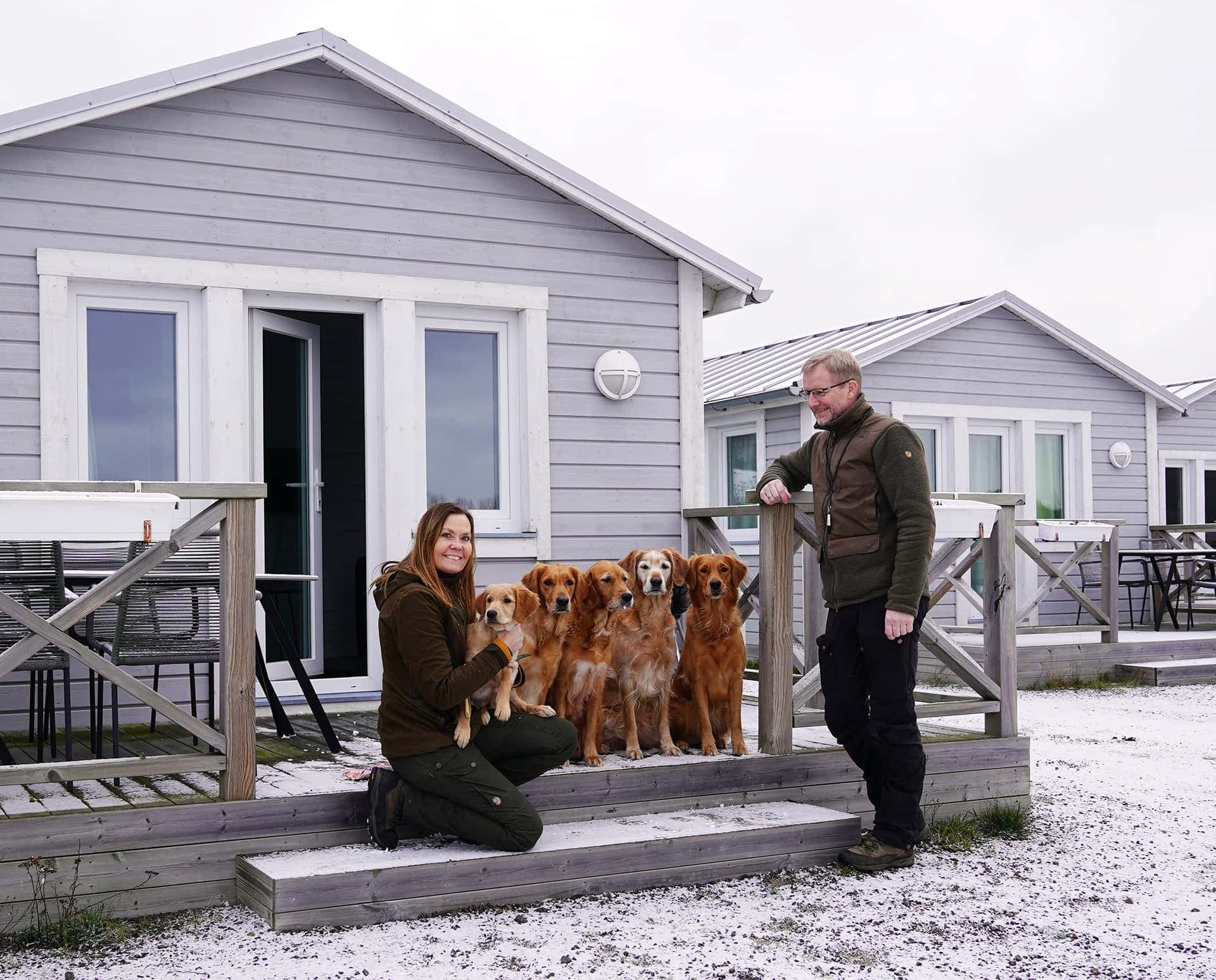 Hunder sosialiserer på et hundetreff på en hundevennlig campingplass.