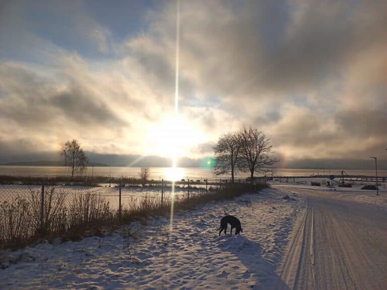 Vinter i kolmården - norrköping