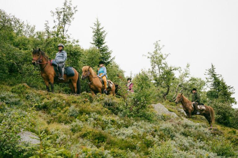 Hesteridning Lifjell Bø Telemark