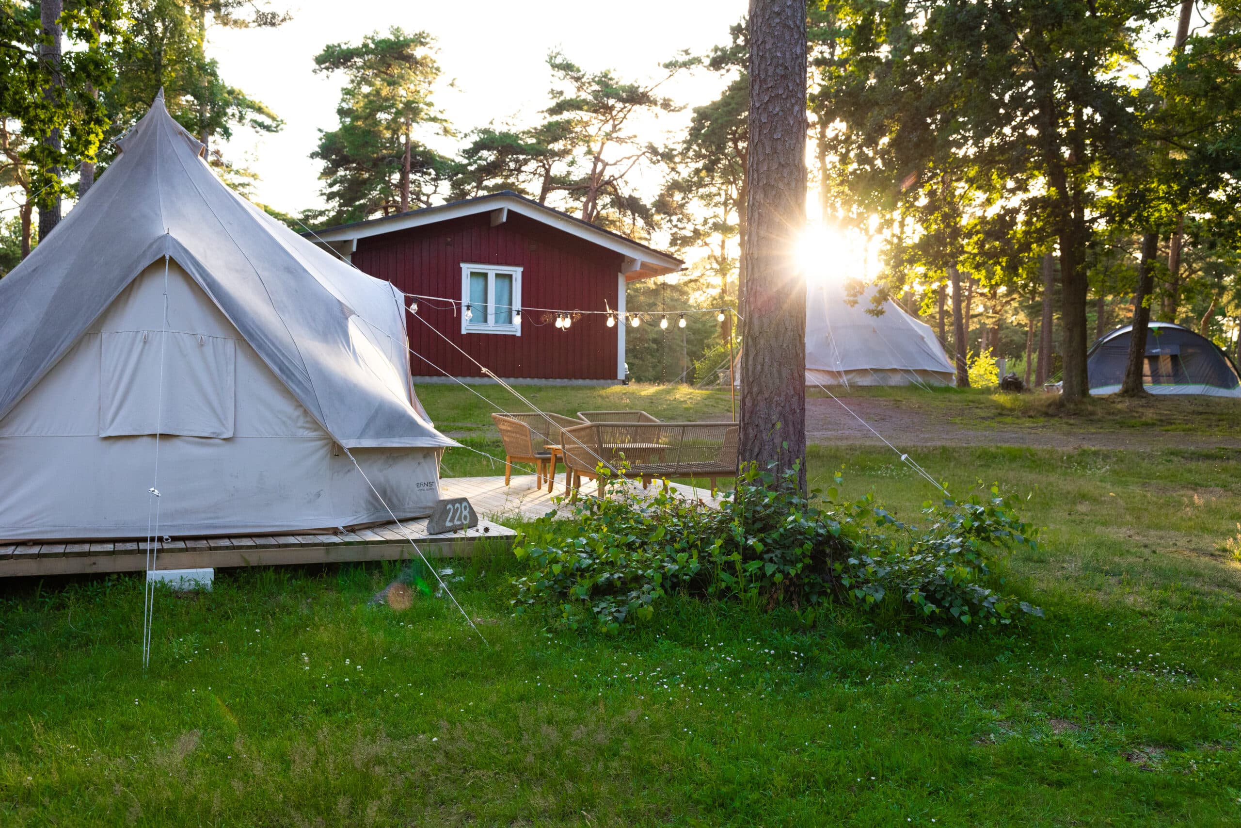 Kvällssol utanför glampingtältet i Torekov