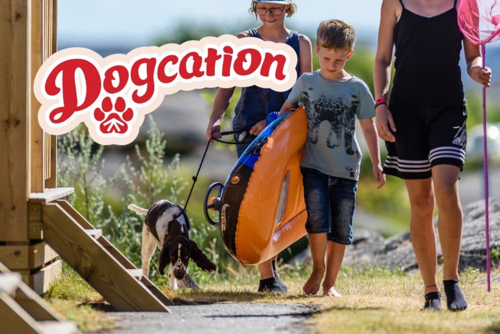 Semestra med hund i hundvänliga stugor på First Camp