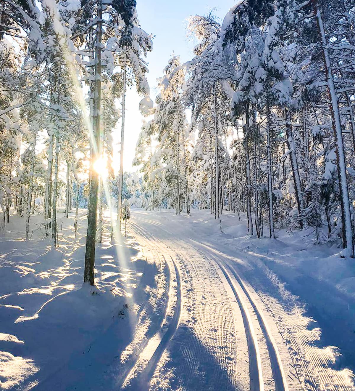 Bø – Telemark | Fjell, bading og vakker natur - Campingplass i Bø